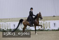 25R13_03061 thumbnail