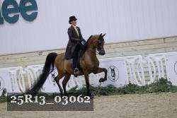 25R13_03062 thumbnail