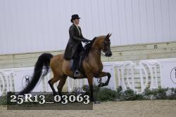 25R13_03063 thumbnail