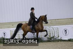 25R13_03064 thumbnail