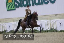 25R13_03065 thumbnail