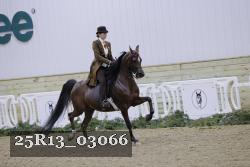 25R13_03066 thumbnail