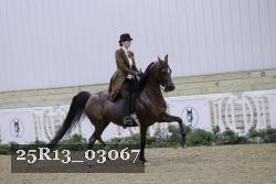 25R13_03067 thumbnail