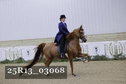 25R13_03068 thumbnail