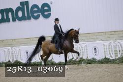25R13_03069 thumbnail