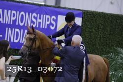 25R13_03072 thumbnail