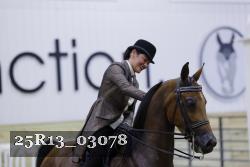 25R13_03078 thumbnail