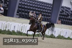 25R13_03093 thumbnail