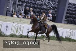 25R13_03094 thumbnail