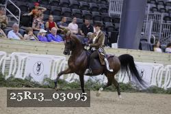 25R13_03095 thumbnail