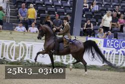 25R13_03100 thumbnail