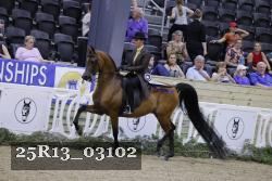 25R13_03102 thumbnail