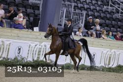 25R13_03105 thumbnail