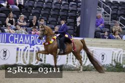 25R13_03111 thumbnail