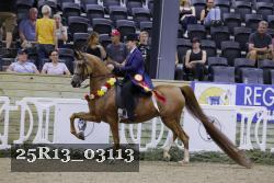 25R13_03113 thumbnail