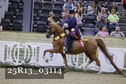 25R13_03114 thumbnail
