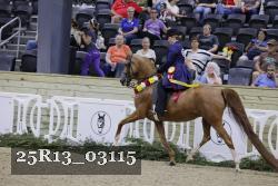 25R13_03115 thumbnail
