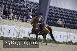 25R13_03116 thumbnail