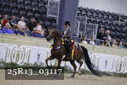 25R13_03117 thumbnail