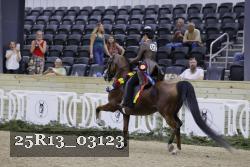 25R13_03123 thumbnail