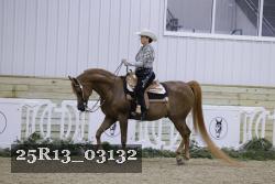 25R13_03132 thumbnail