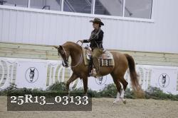 25R13_03133 thumbnail