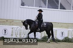 25R13_03139 thumbnail