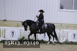 25R13_03140 thumbnail