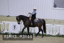25R13_03144 thumbnail
