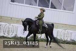 25R13_03145 thumbnail