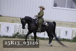 25R13_03146 thumbnail