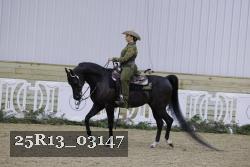 25R13_03147 thumbnail