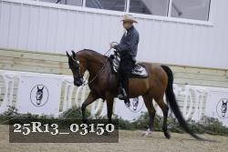 25R13_03150 thumbnail