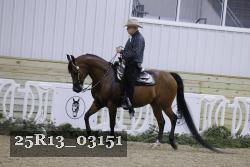 25R13_03151 thumbnail