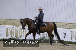 25R13_03152 thumbnail