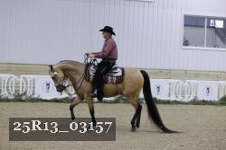 25R13_03157 thumbnail