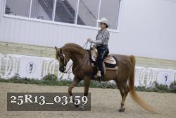 25R13_03159 thumbnail