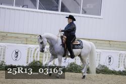 25R13_03165 thumbnail