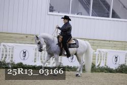 25R13_03166 thumbnail