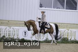 25R13_03169 thumbnail