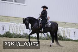 25R13_03175 thumbnail