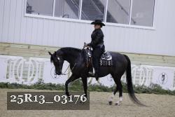 25R13_03176 thumbnail
