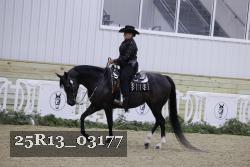 25R13_03177 thumbnail