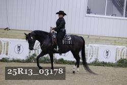 25R13_03178 thumbnail