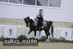 25R13_03180 thumbnail