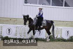 25R13_03181 thumbnail