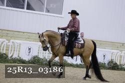 25R13_03186 thumbnail