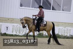 25R13_03187 thumbnail