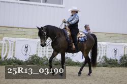 25R13_03190 thumbnail