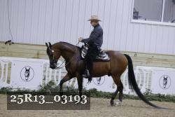 25R13_03193 thumbnail